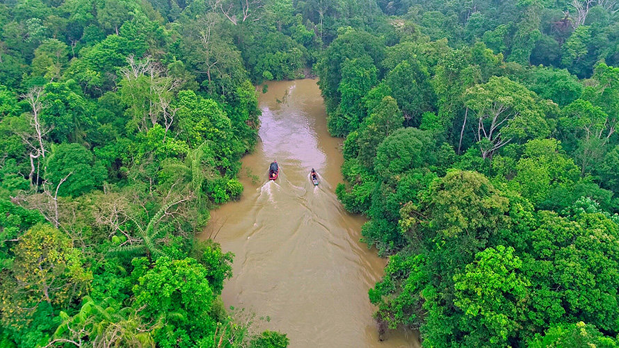 United Nations sustainability programmes BMW Sustainability BMW Sustainability United Nations sustainability programmes bird’s eye view of river with trees