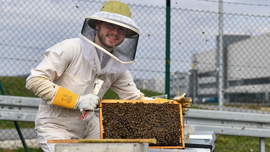 Biodiversity BMW Sustainability BMW Sustainability Biodiversity beekeeper with honeycomb